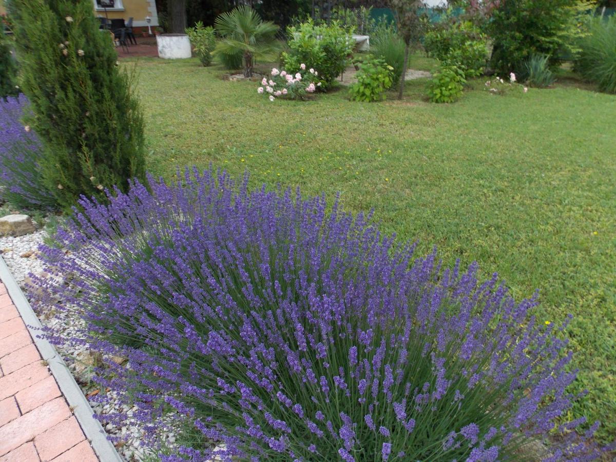 Eden Villa Apartmanhaz Balatonfured Exterior photo